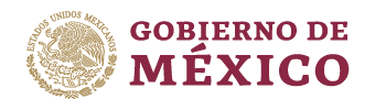 Gobierno de México