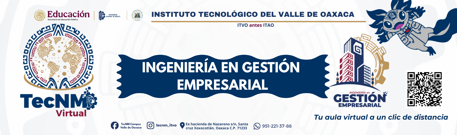INGENIERÍA EN GESTIÓN EMPRESARIAL